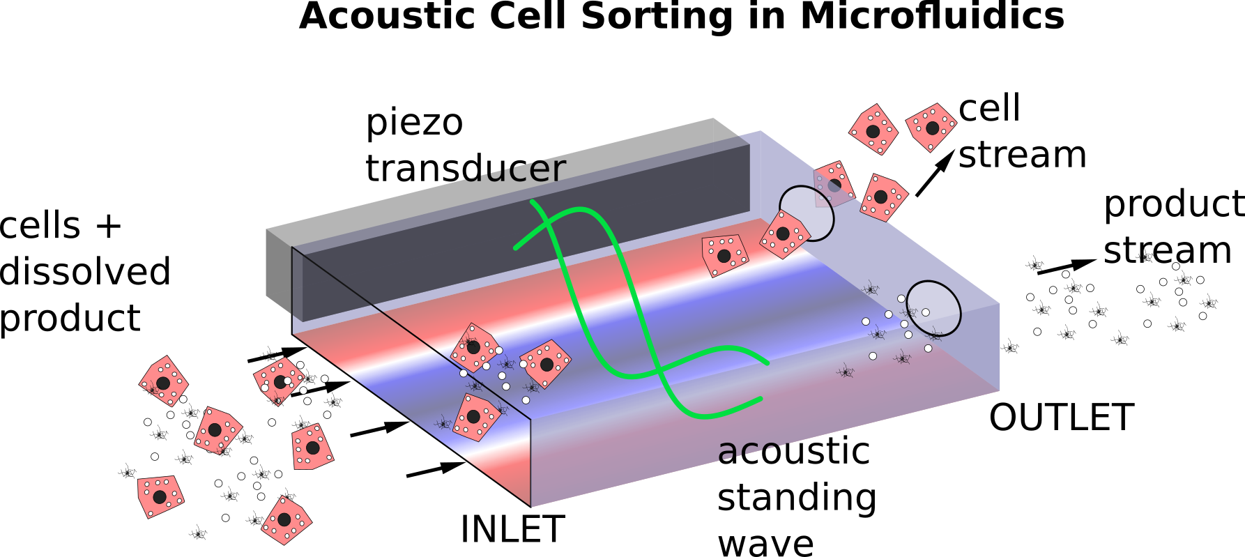 acoustic cell sorting